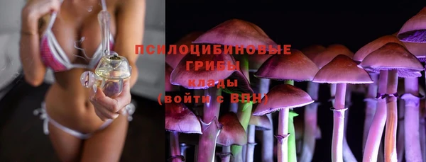 МДПВ Абаза
