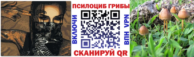 Псилоцибиновые грибы GOLDEN TEACHER  это наркотические препараты  Якутск  где продают  